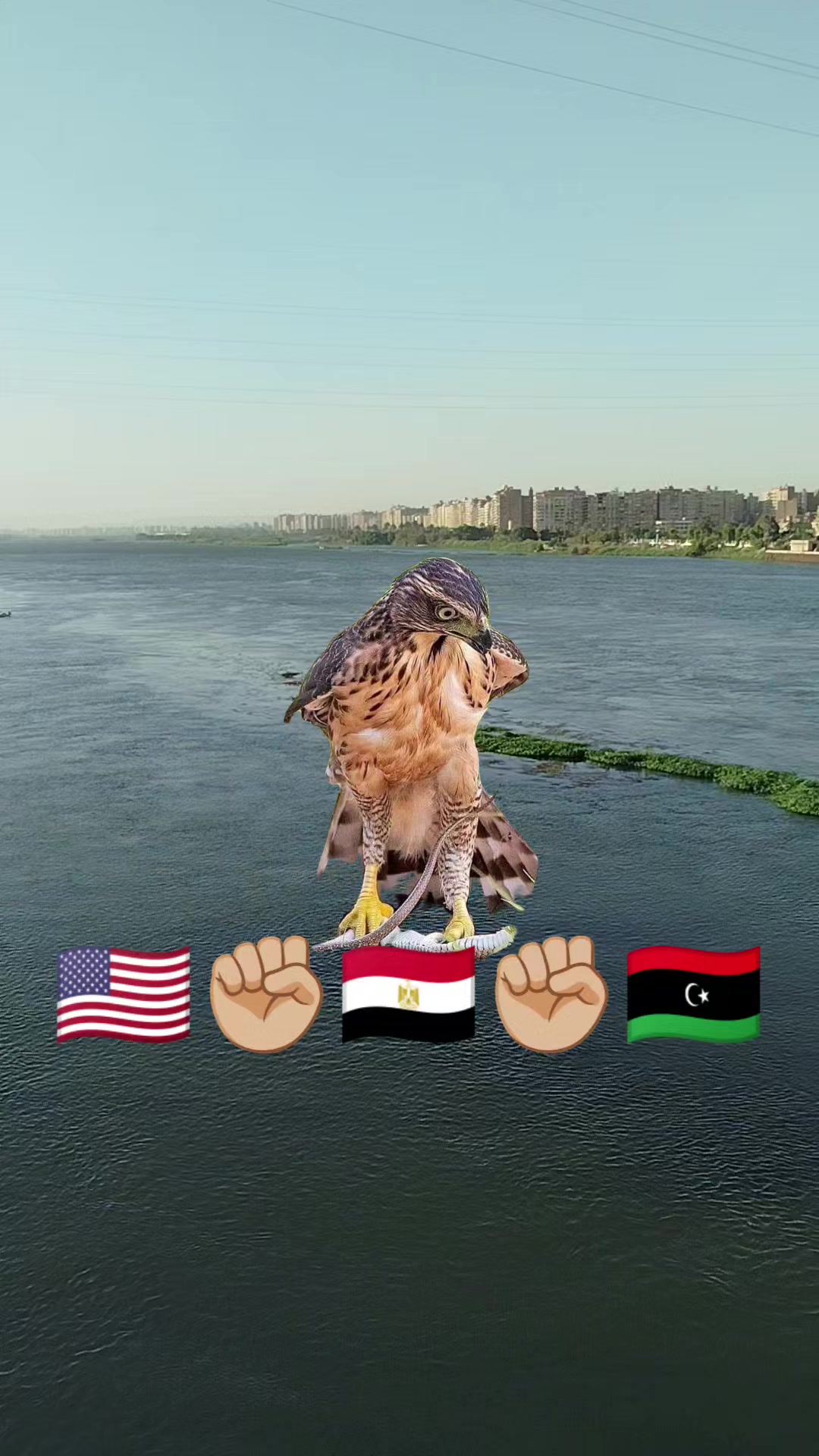 @الاستشاري ابراهيم محمد سلامة