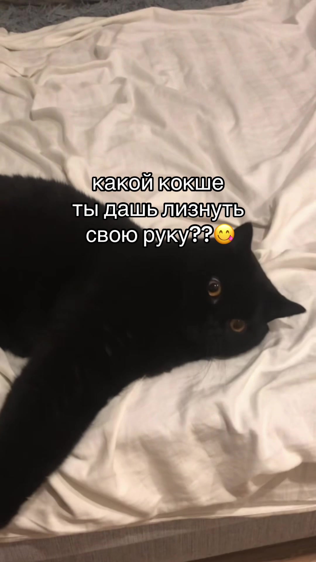 @naneınfッ