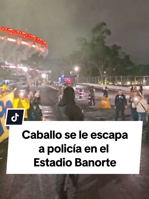 @El Universal