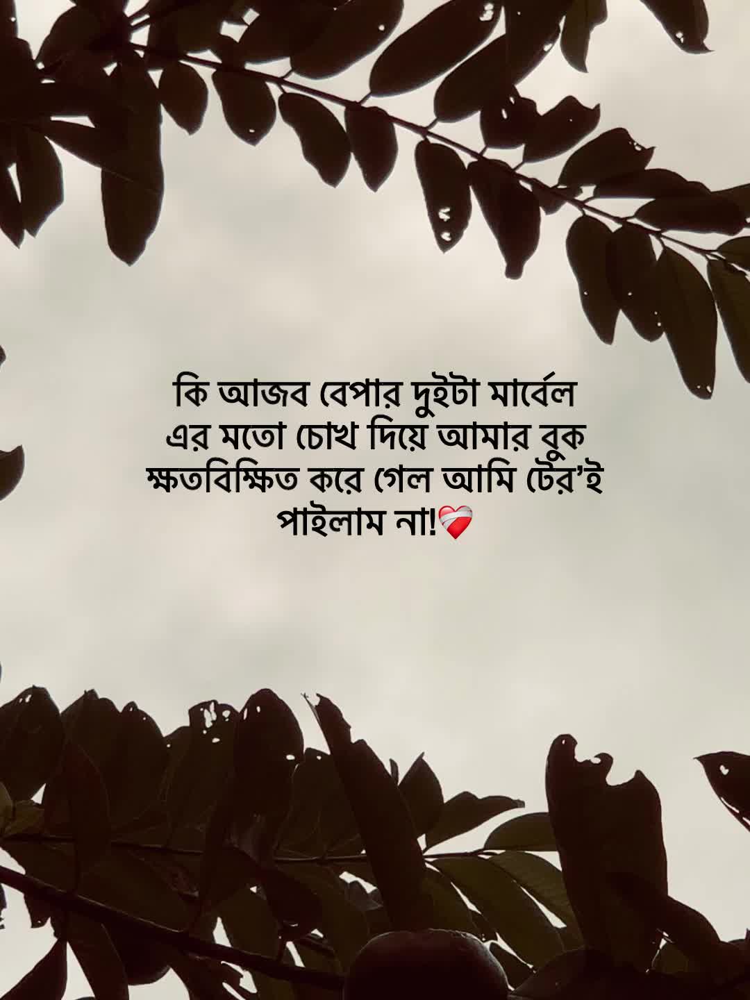 @Jit Baiddyađ§