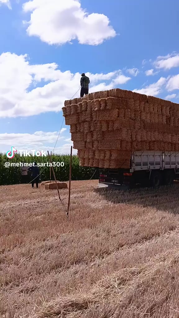 @Fikret Sarıkaya