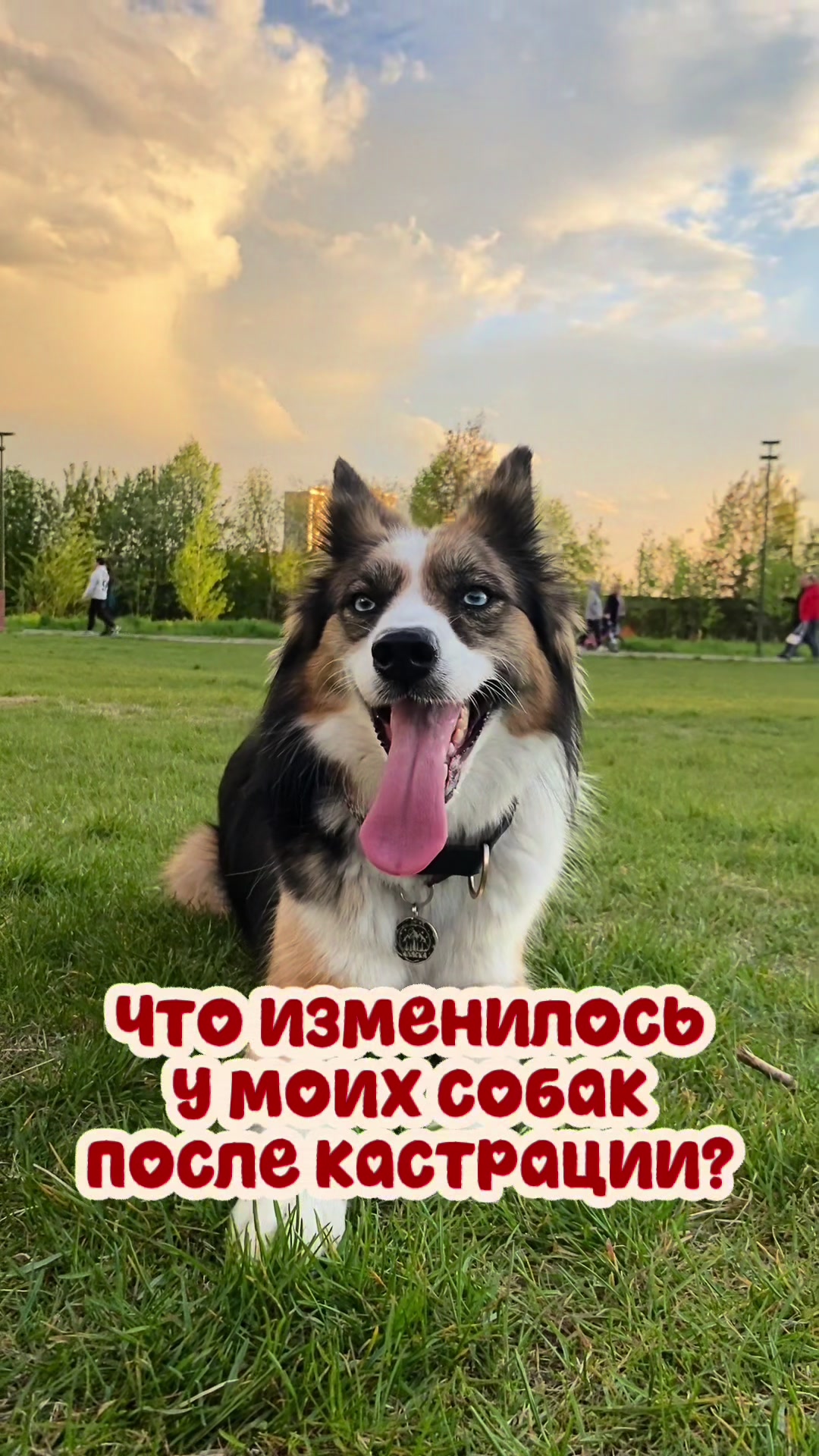 @alaskaa