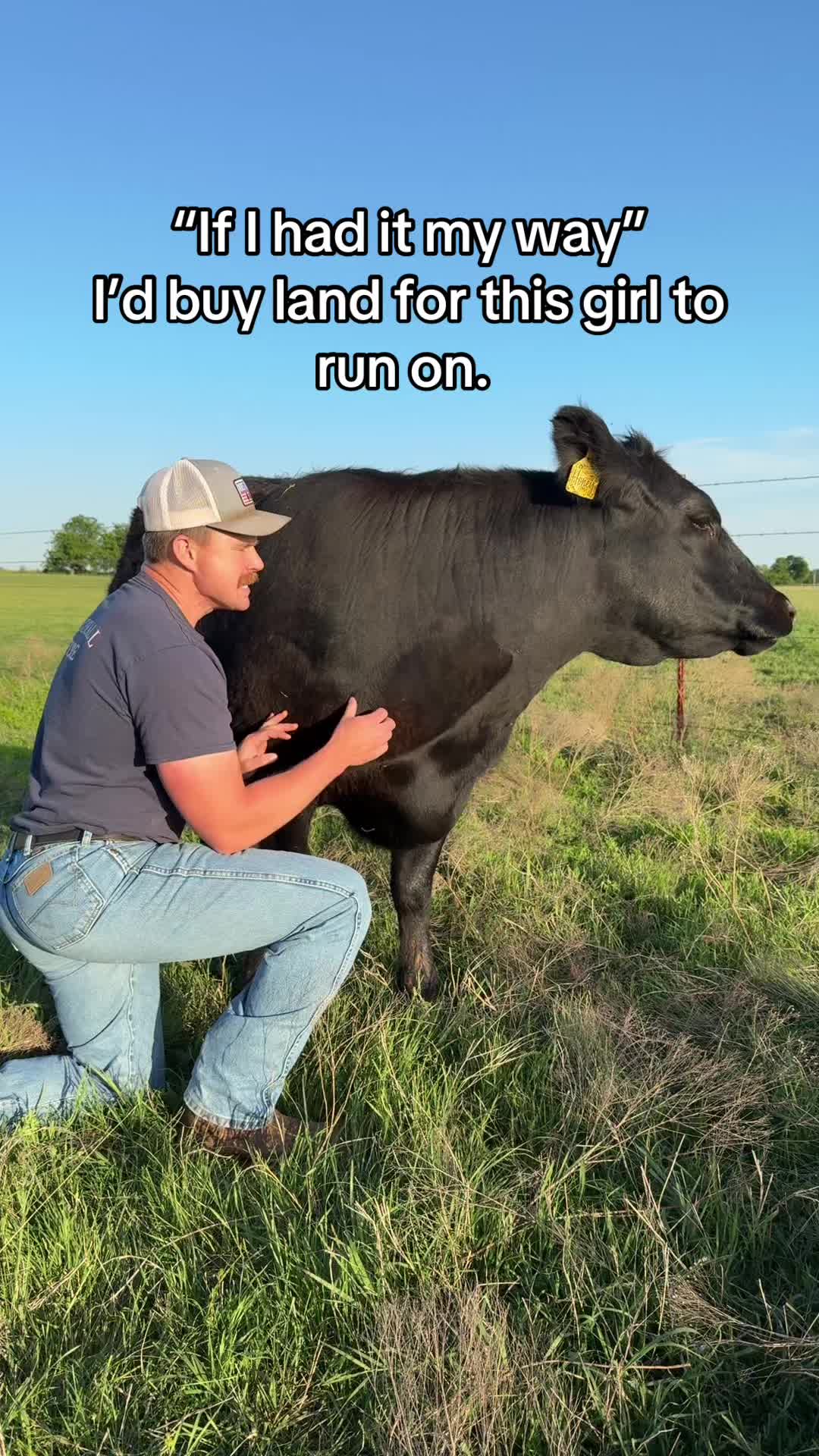 @LaneGorrell