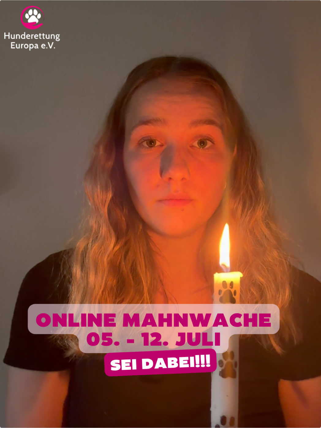 @Hunderettung Europa