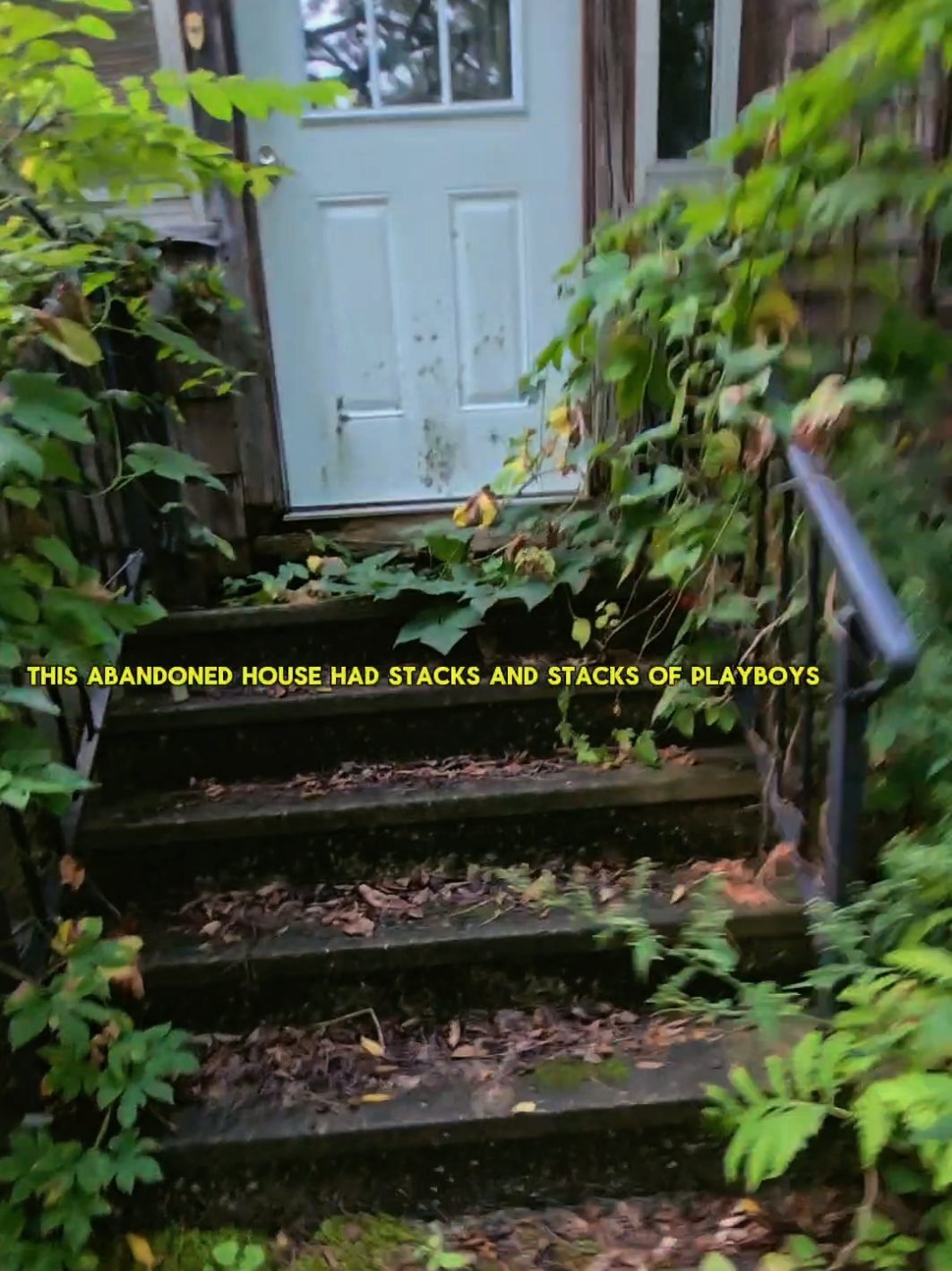 @AJ🐈