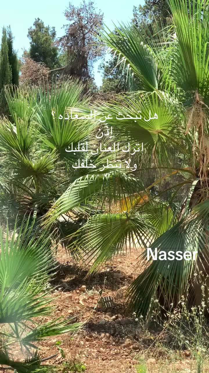 @Nasser
