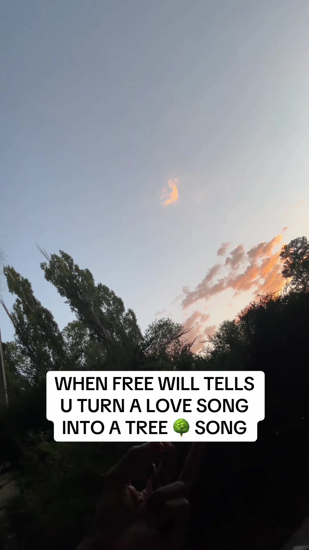 @FOCUSDAPROBLEM