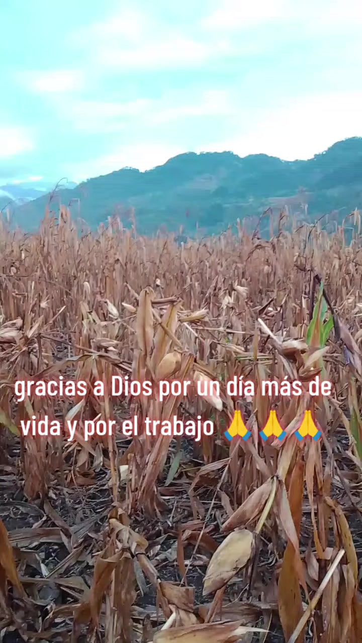 @🕷🐃🐺checha 502🇬🇹tim🐃🐺