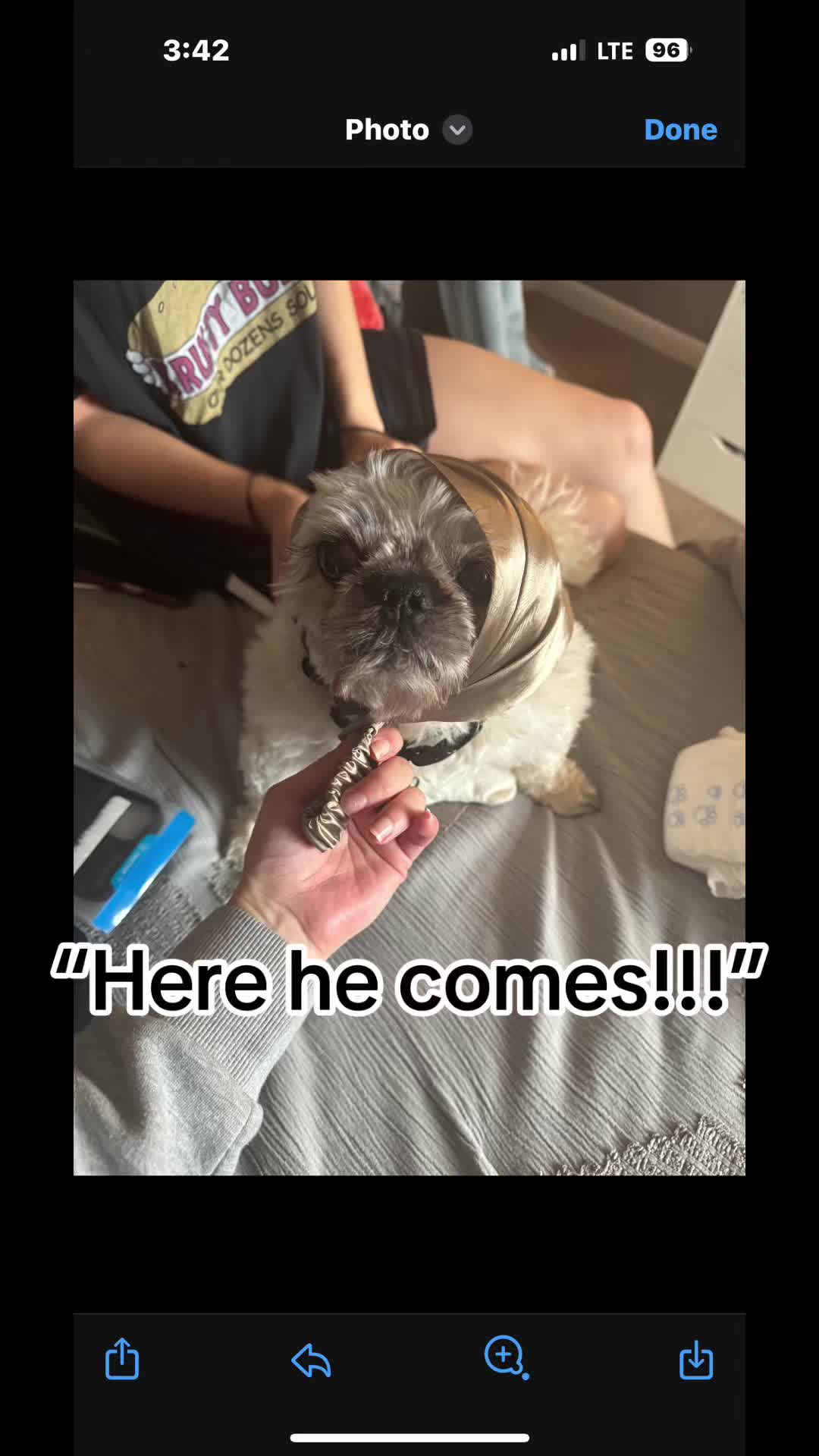 @Allykop98