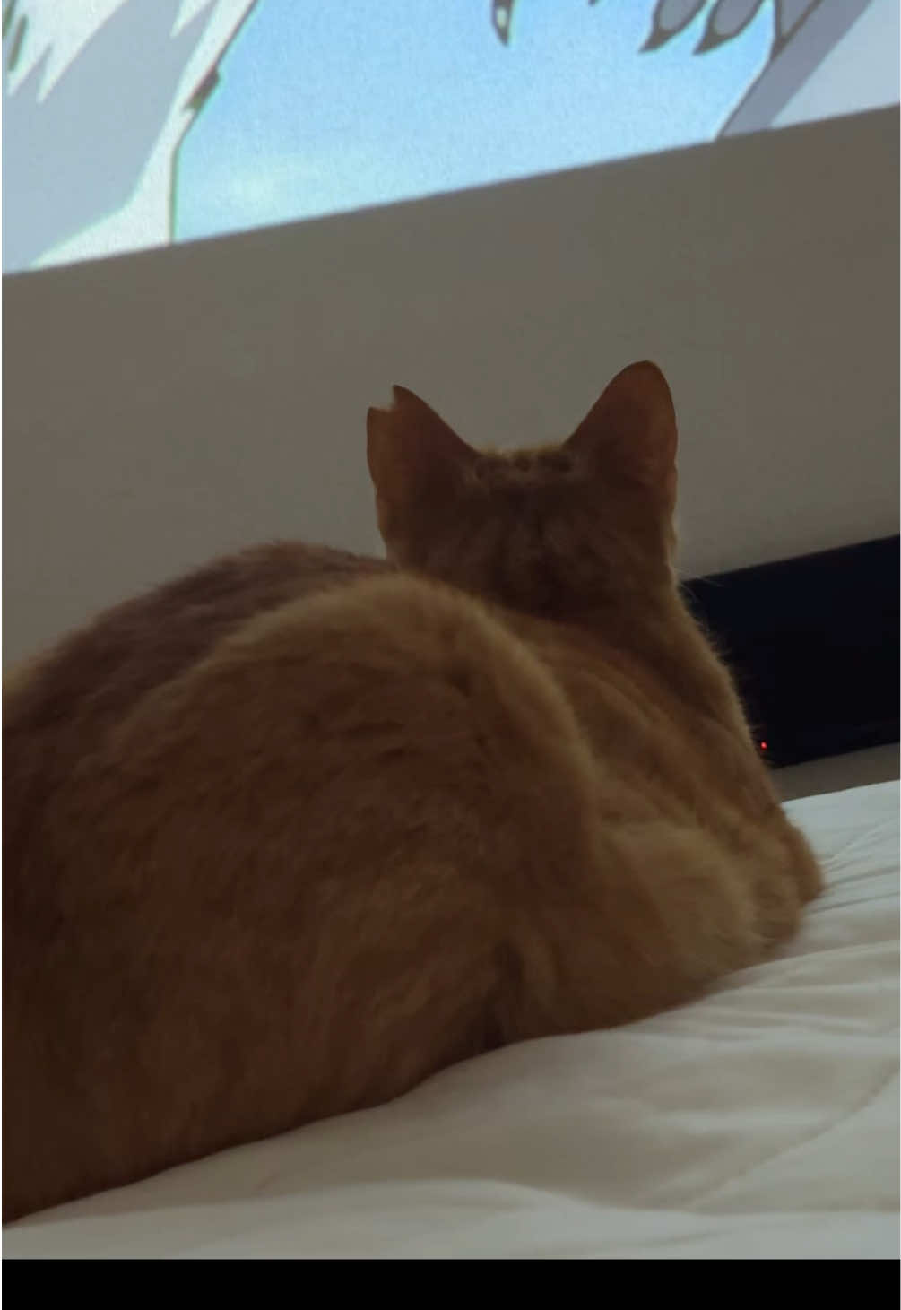 @さっことおちょ