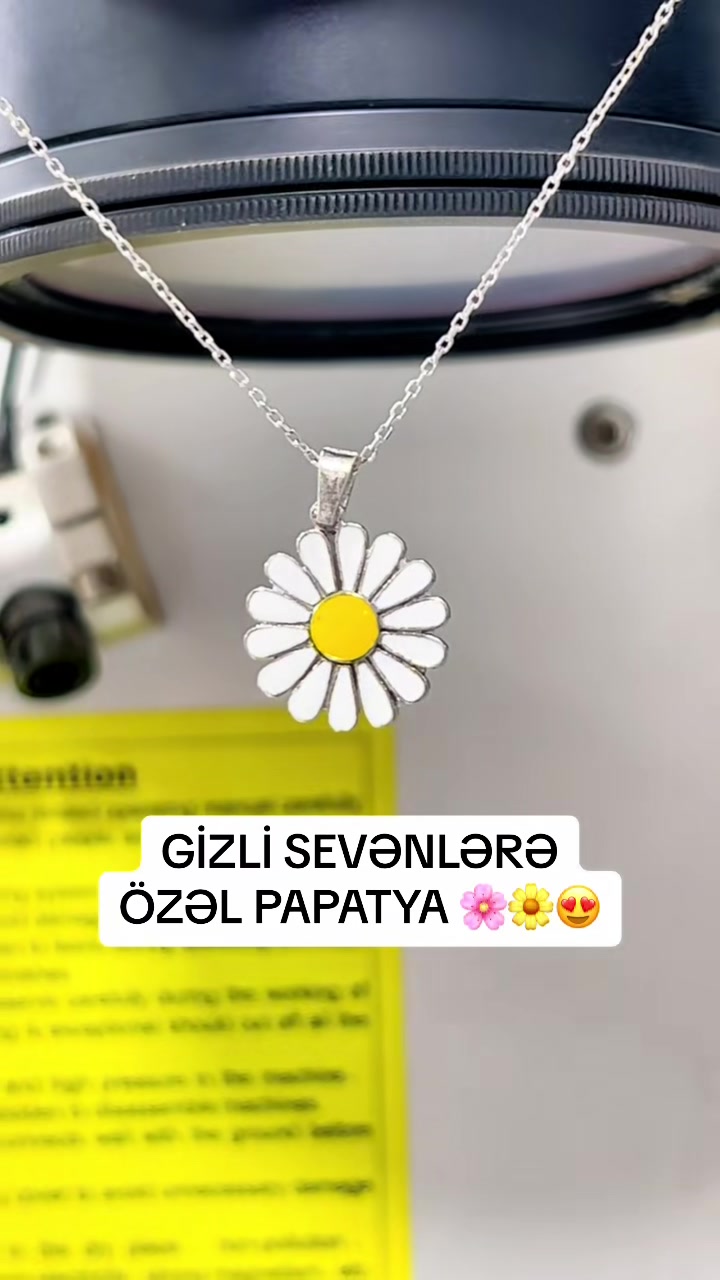 @seva_gallery 🛍️