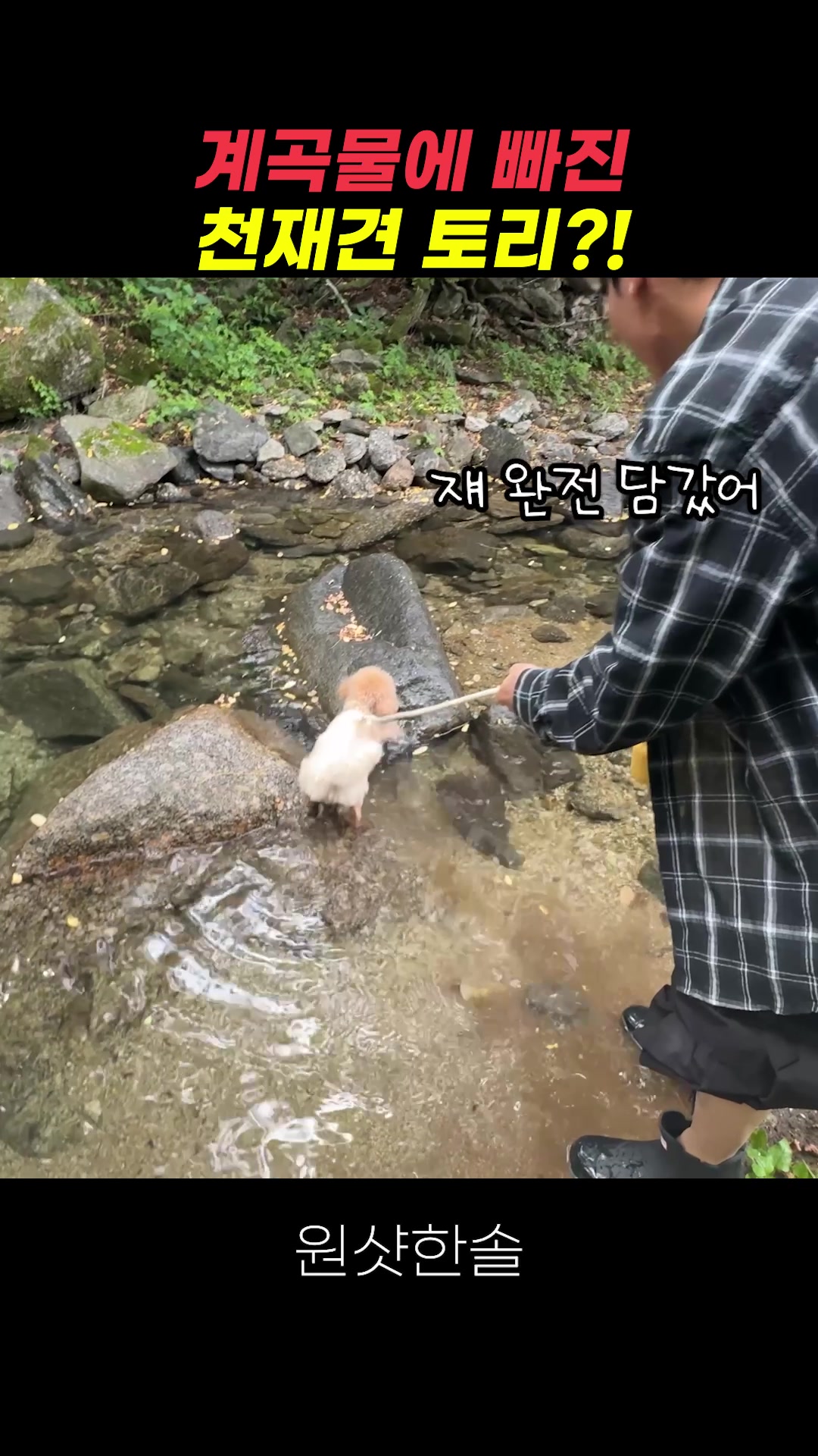 @원샷한솔🐶