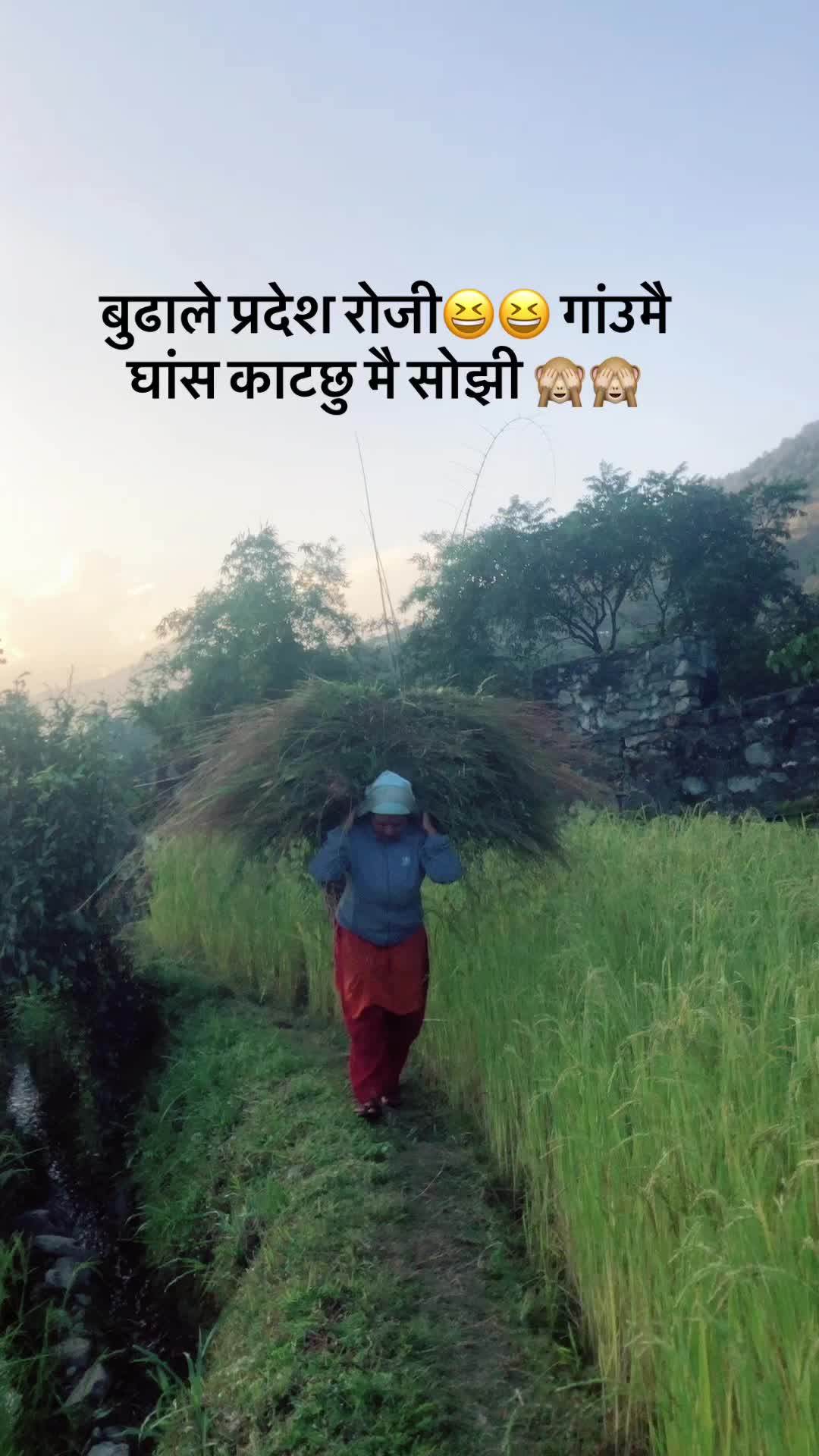@Sarita Regmi
