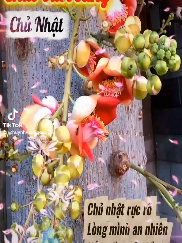 @Huỳnh Văn Được