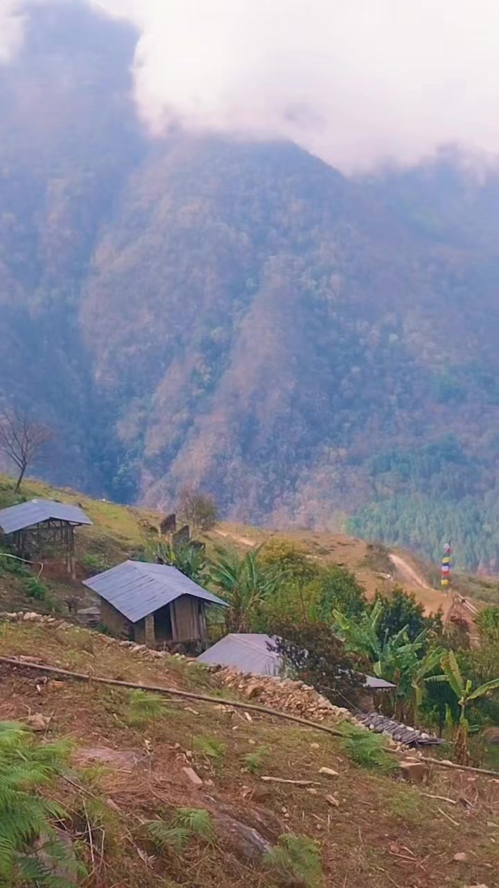 @C_Dema🇧🇹