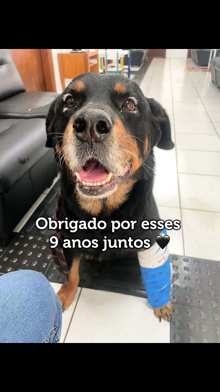 @Lucas