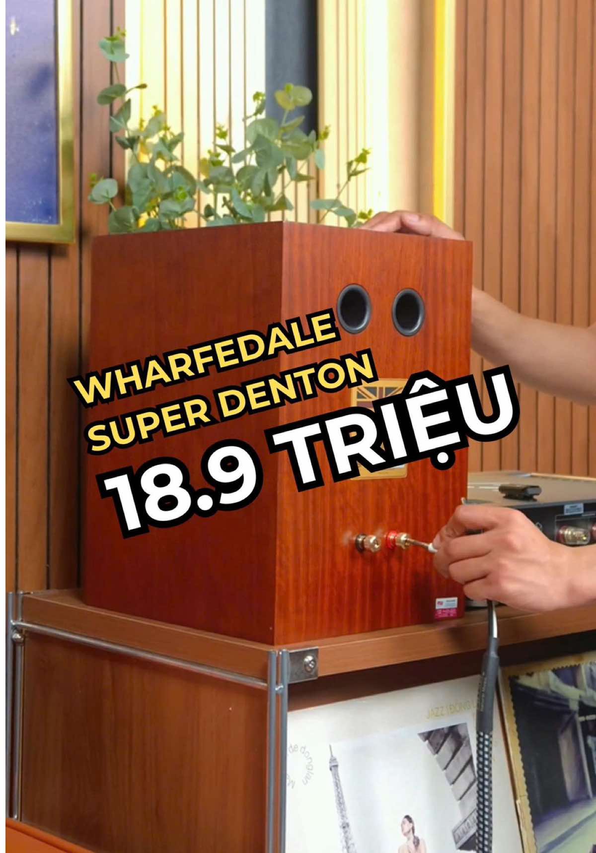 @D&aacute;t V&agrave;ng M&agrave;ng Nhĩ 🎼