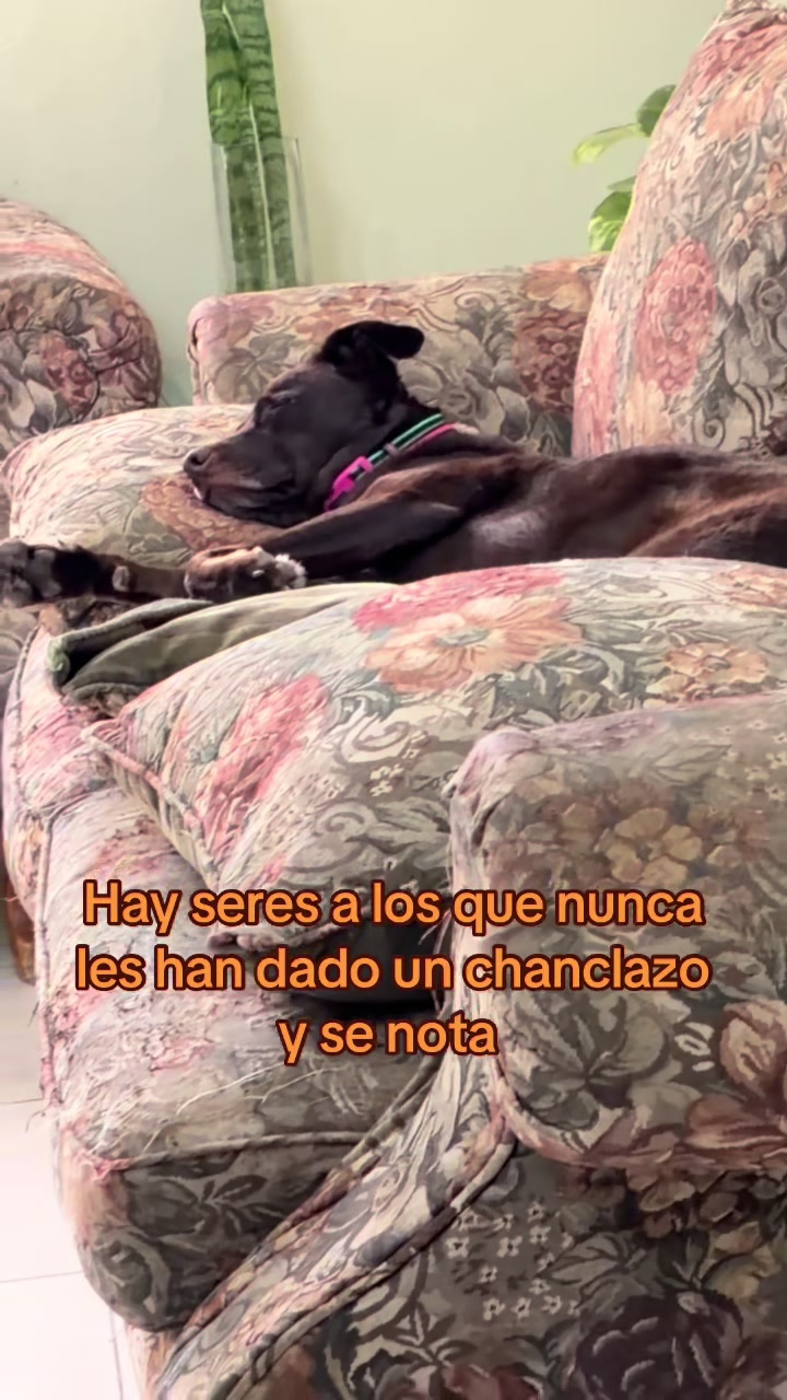 @Soycataliina