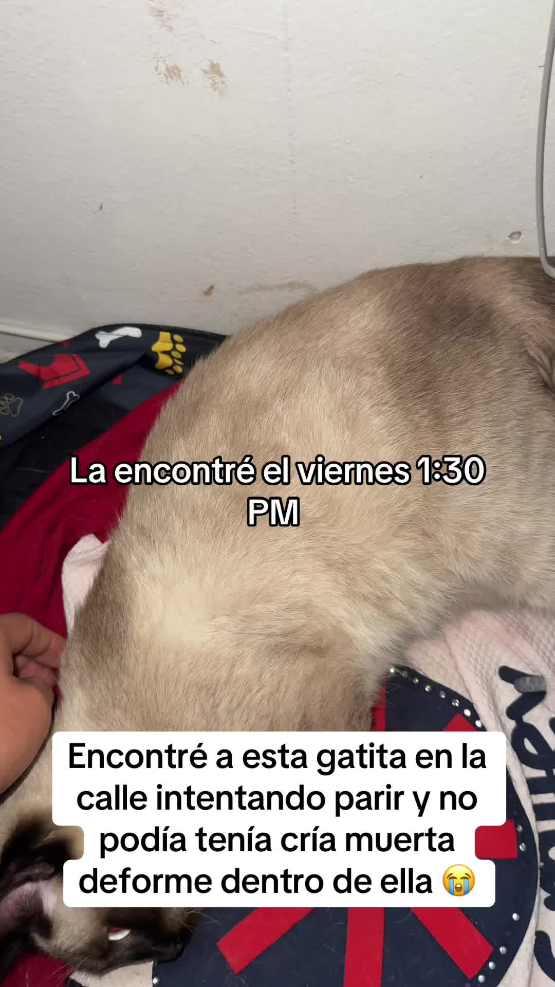 @GERSON EL&Iacute;AS