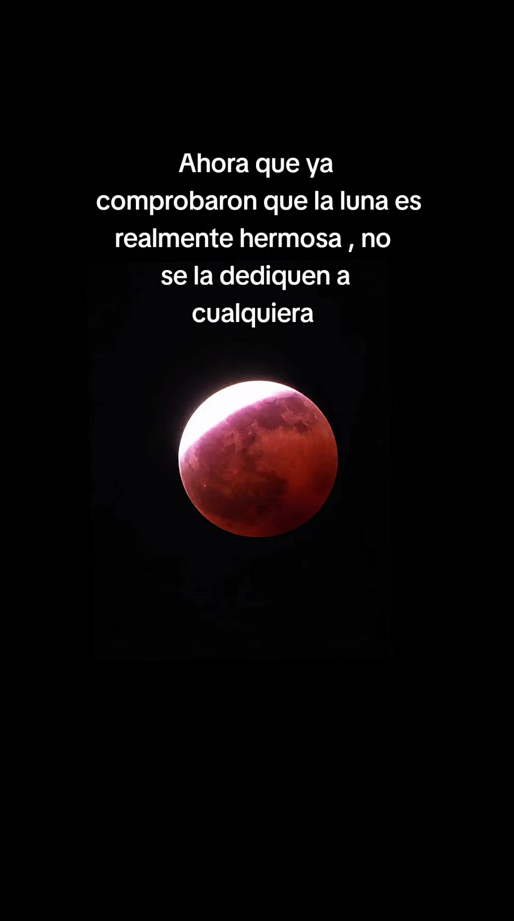 @@luisito YT