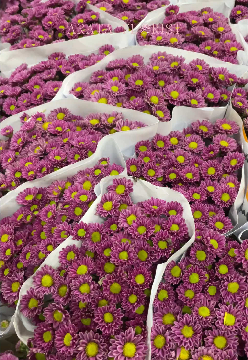 @Arata Florist