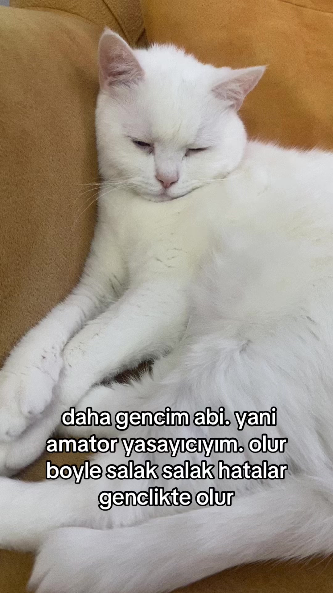 @zeynep lina