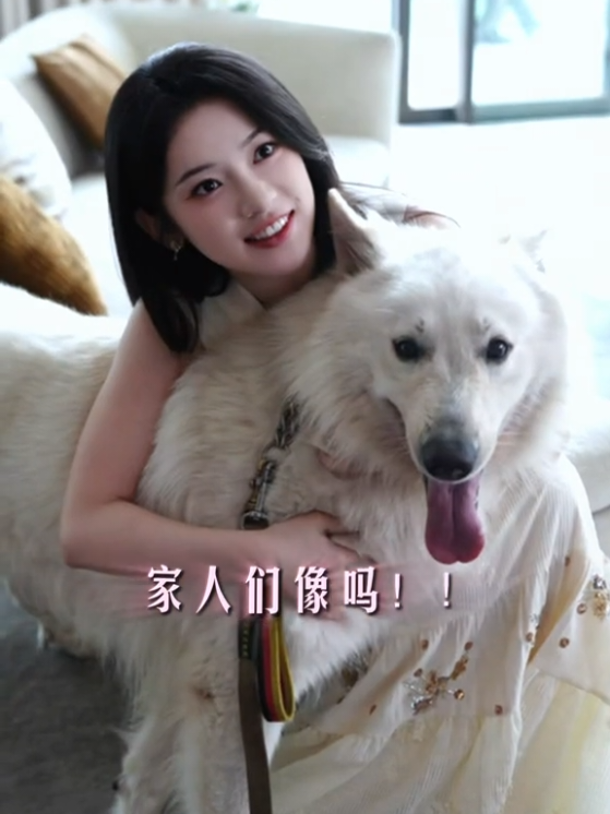 @support Liu xiyu