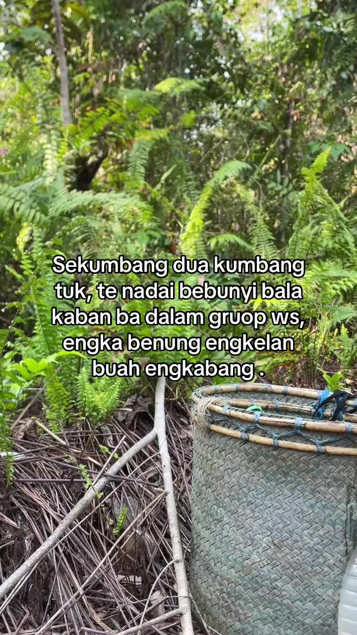 @𝝑୧
