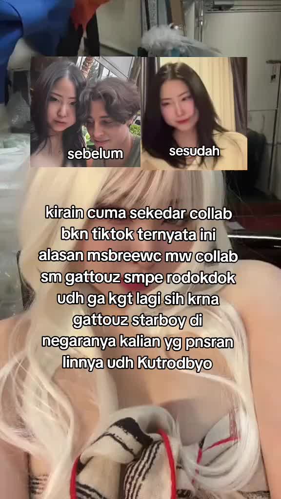 @ms brewc x gattouz