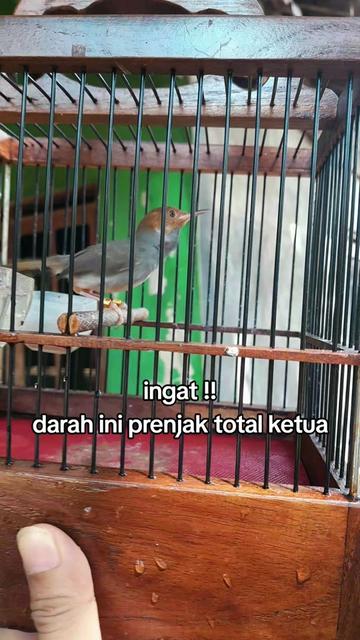 @KAPTEN