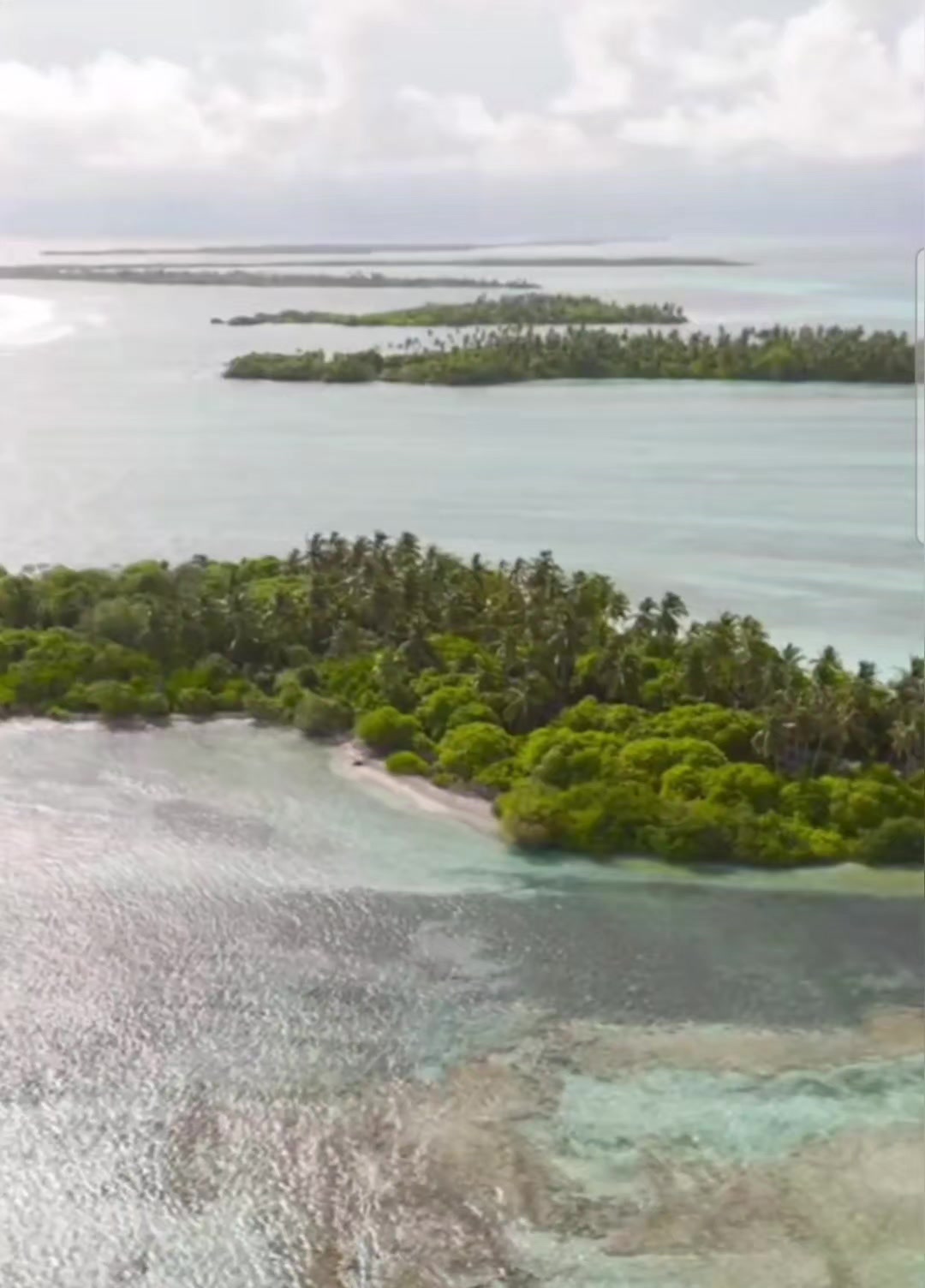 @Huvadhoo Real Asippe 🇲🇻🇵🇸