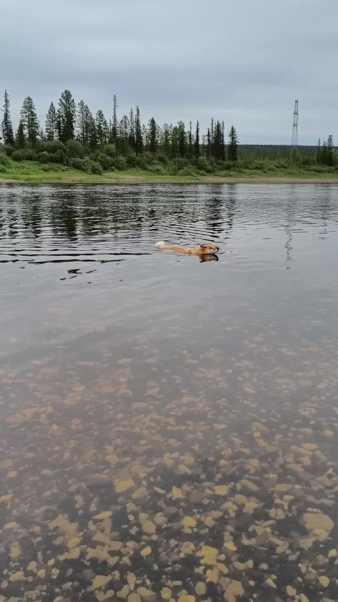 @Харли Квинн