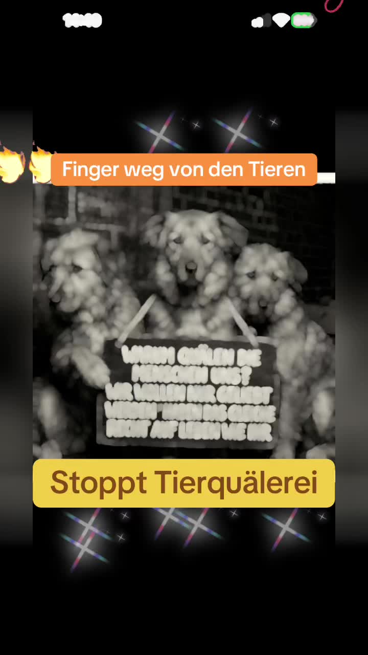 @Lua Team🐈🐕🦺Löwenherz❤️🦁