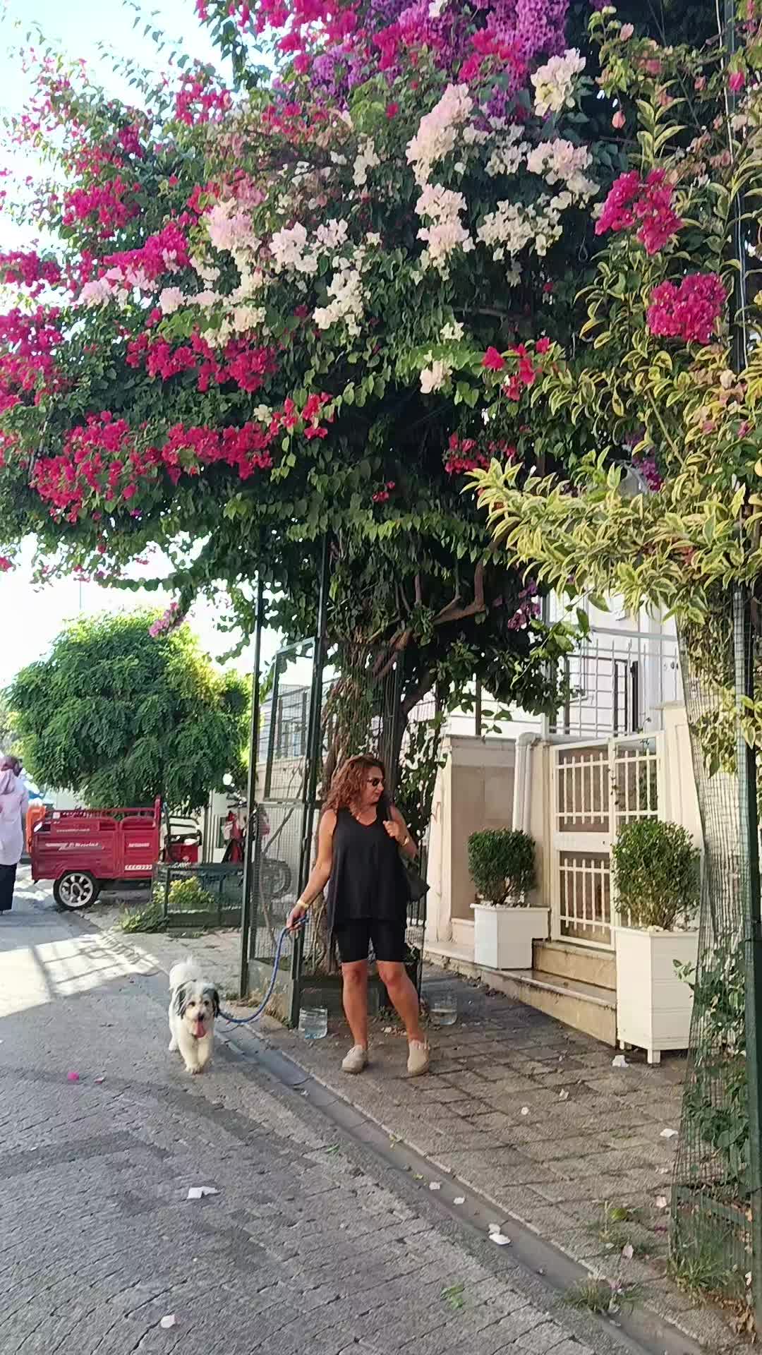 @Denizyıldızı💕