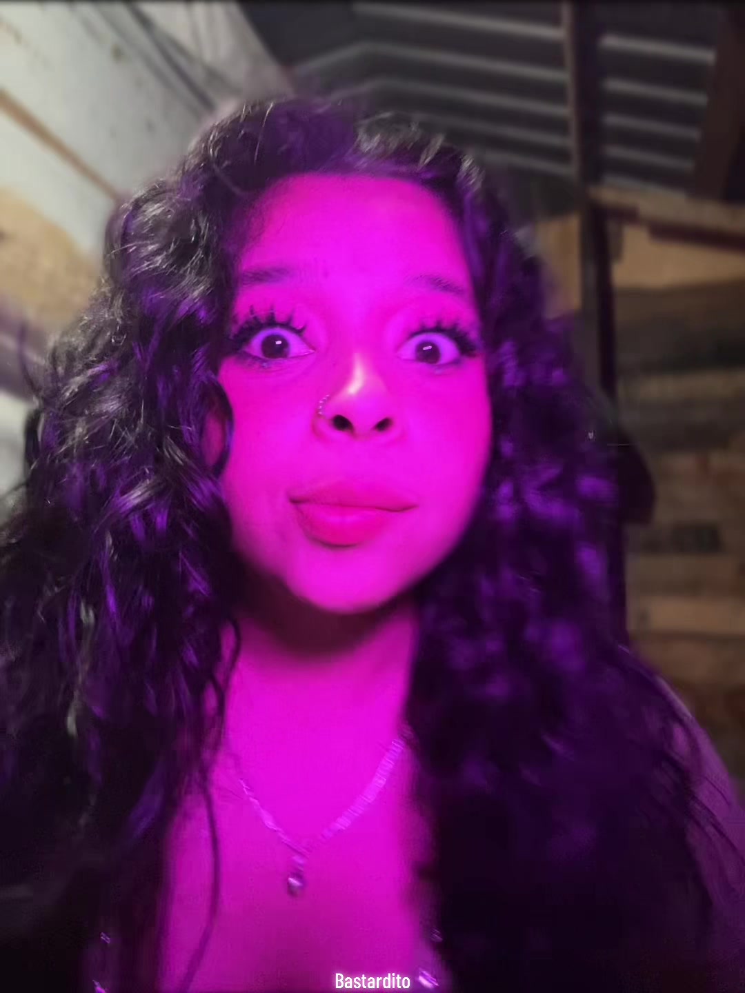 @Bombón. ❤️🐖