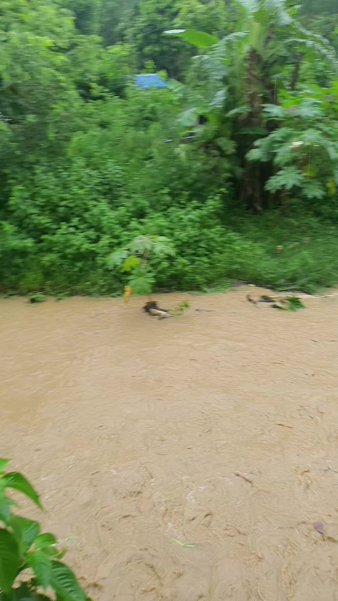 @Ganga Khadka