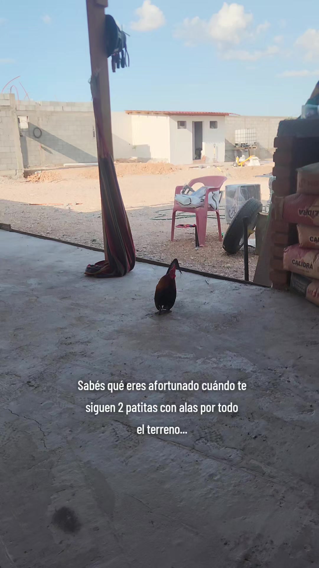 @El De La 450 Negra