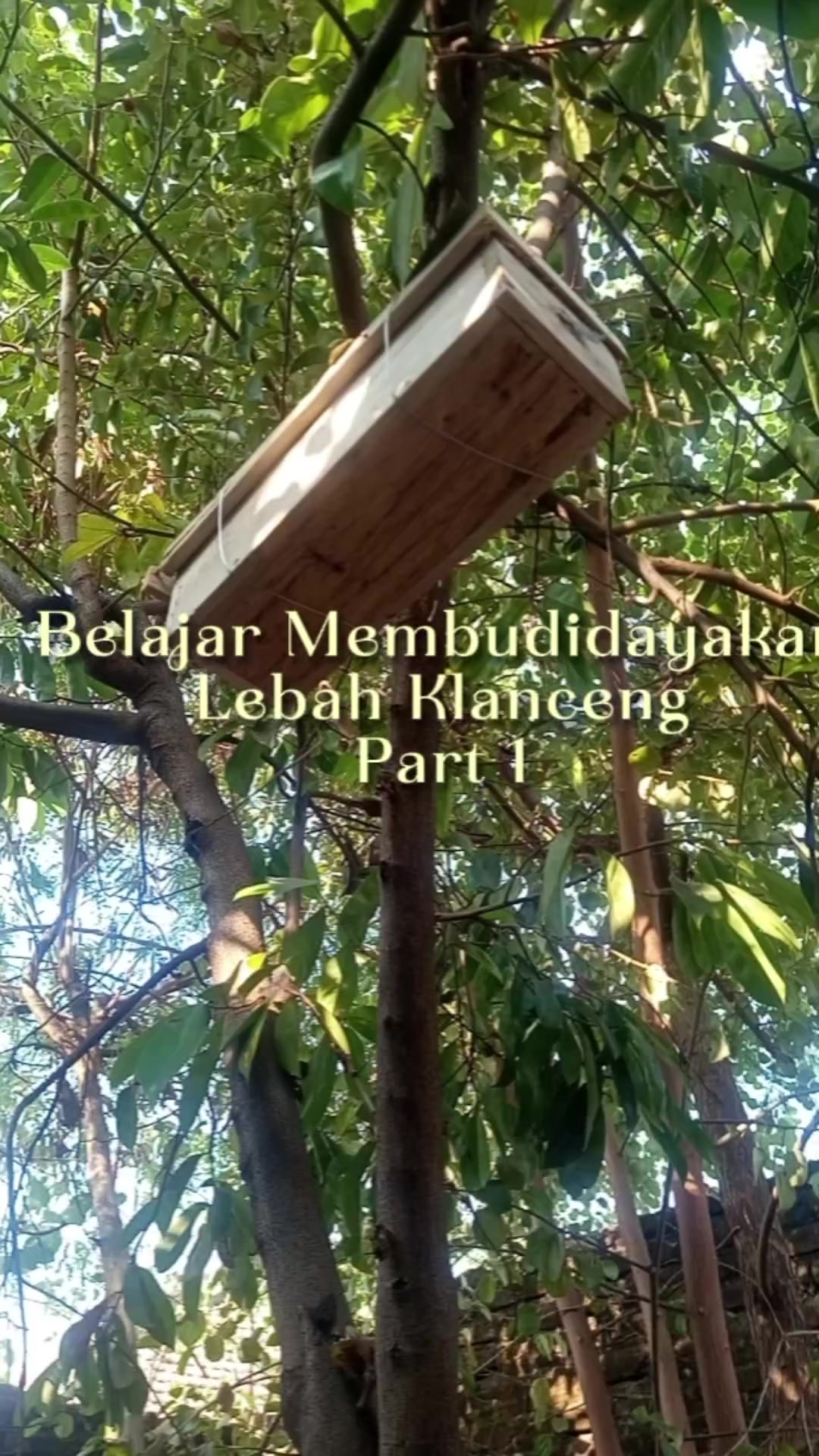 @Ananda K
