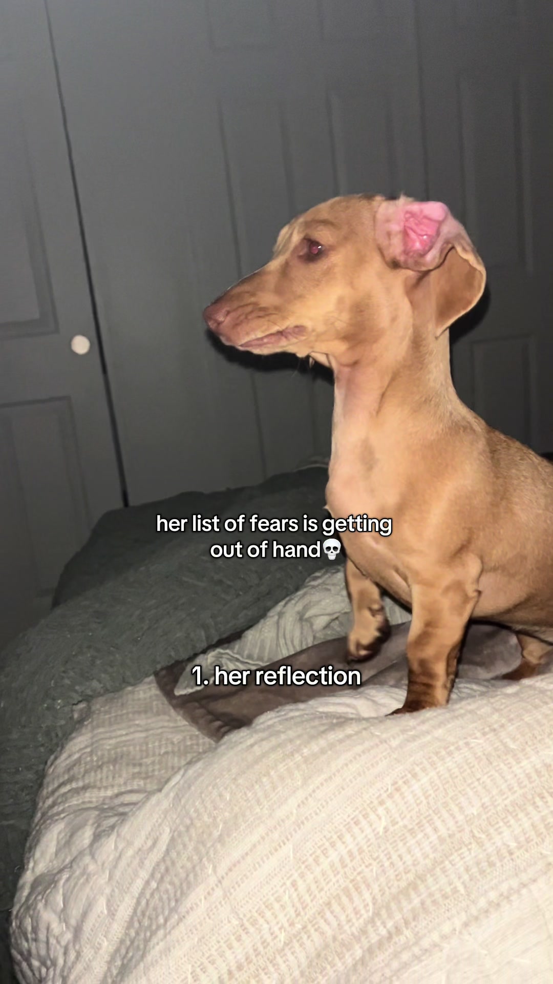 @Hazel & Heidi