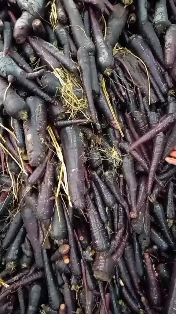 @girayfoodsystem