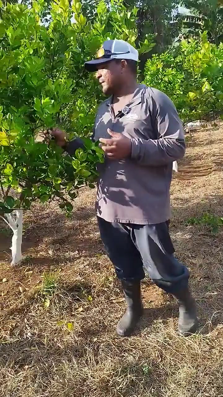 @Cítricos Ramirez 🍋