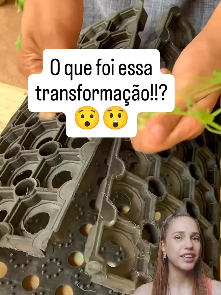 @Casa Fluxo & Vibe