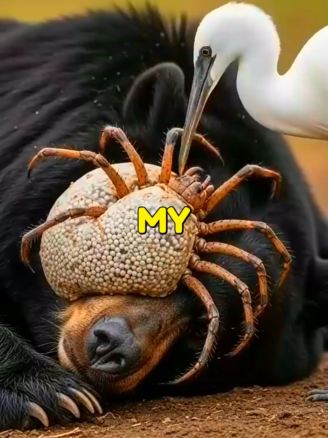 @&deg;