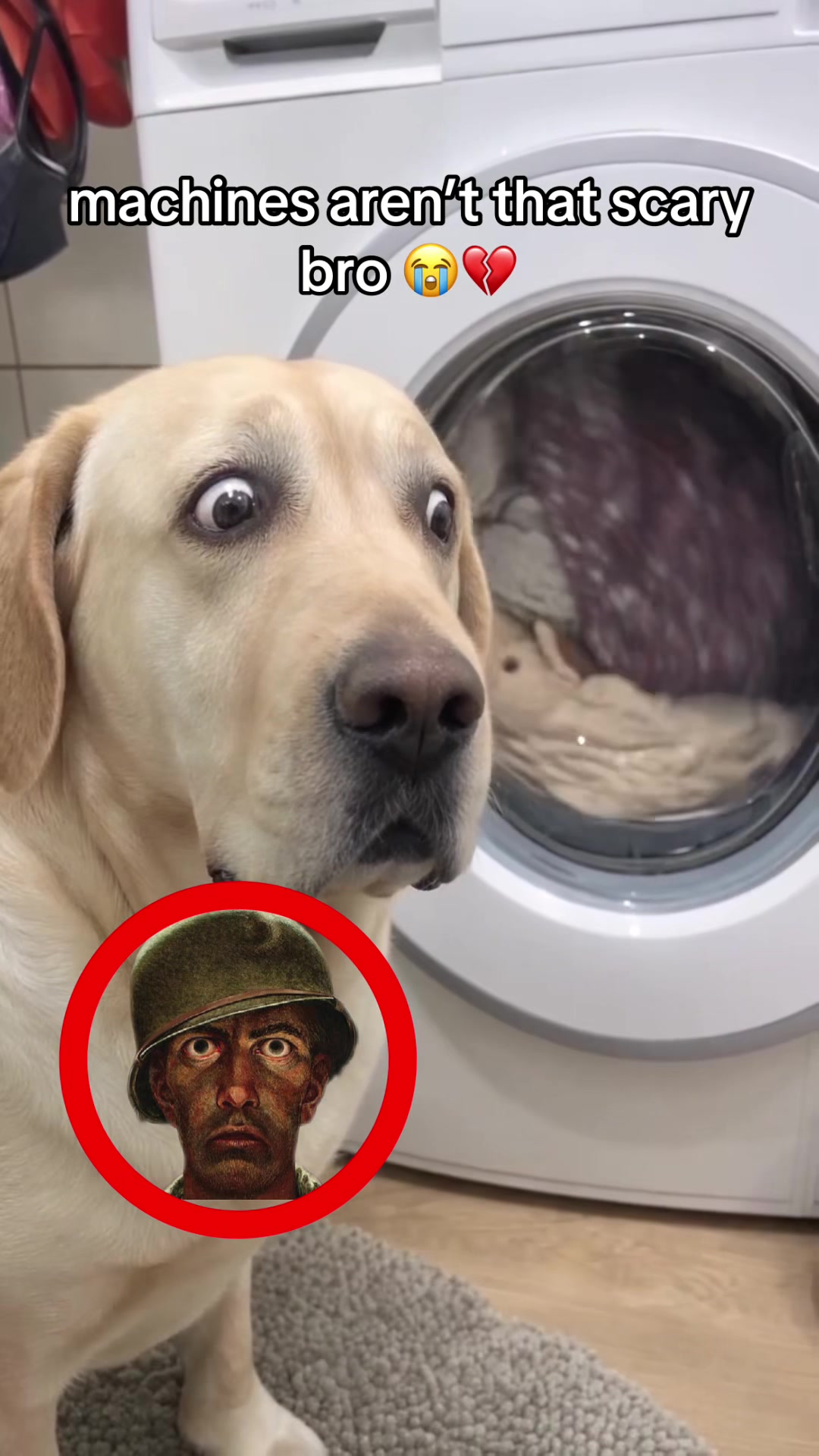 @bababooy1.2