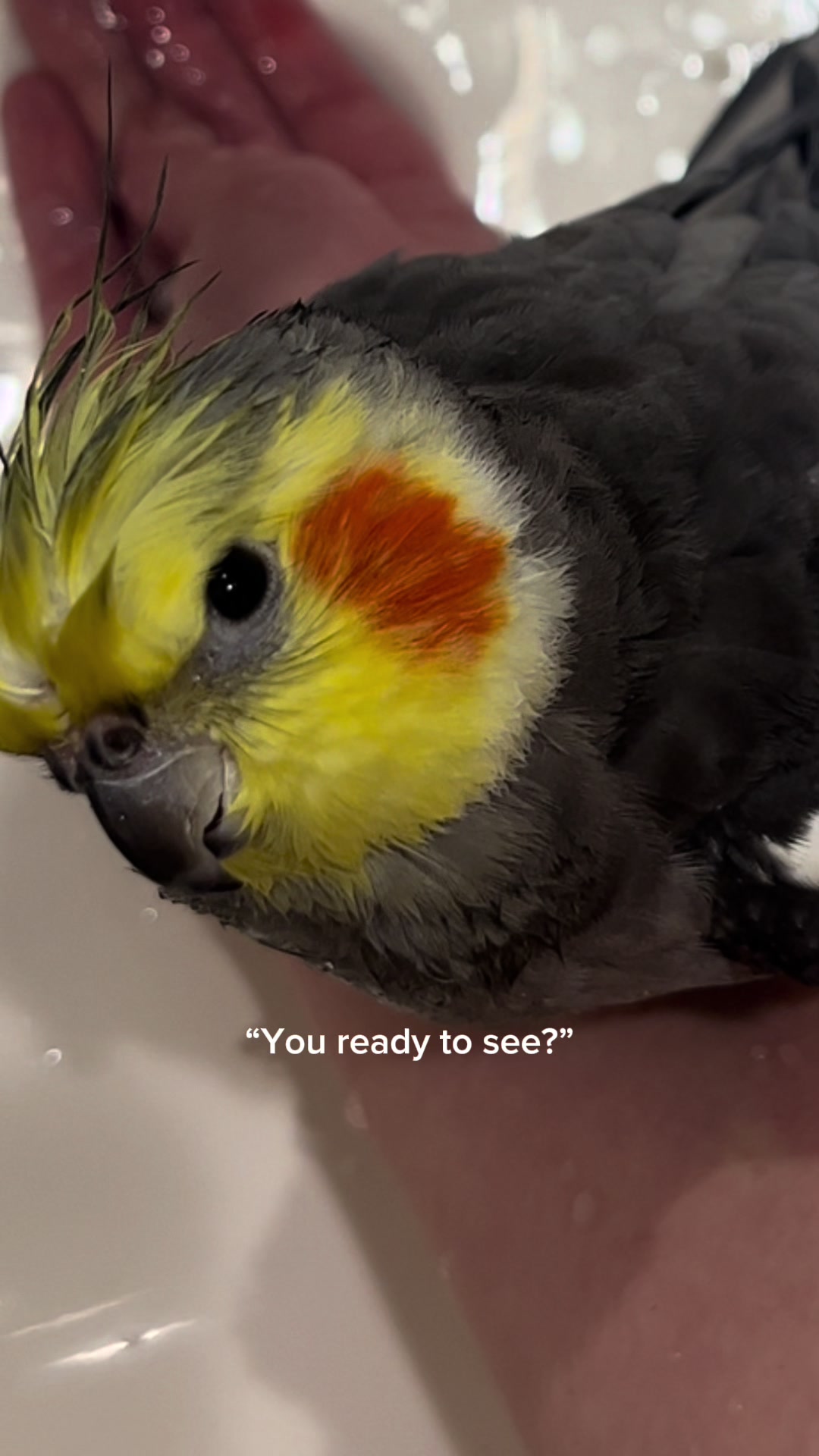 @Emery The Branch Manager