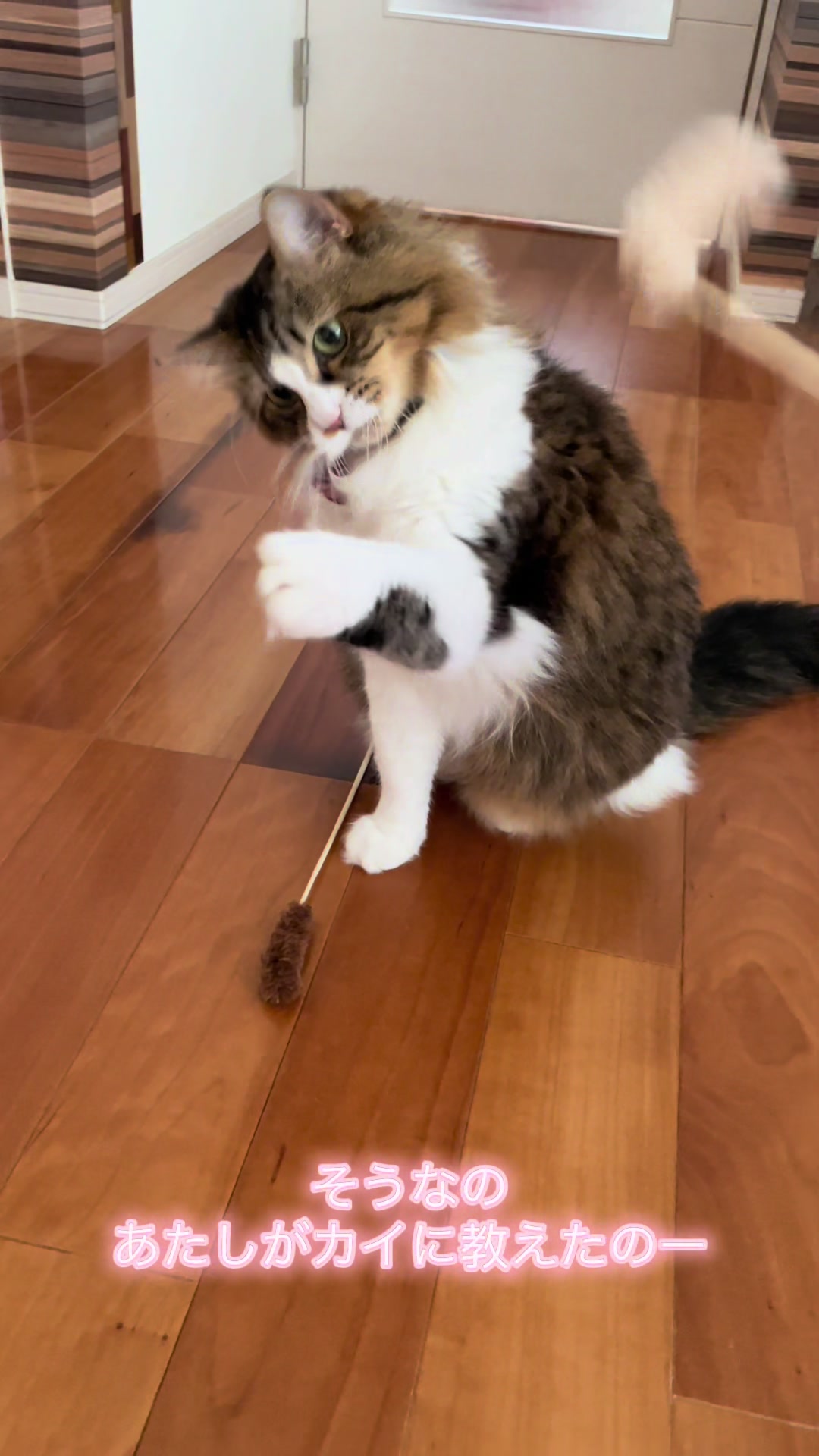 @ねこまみれ