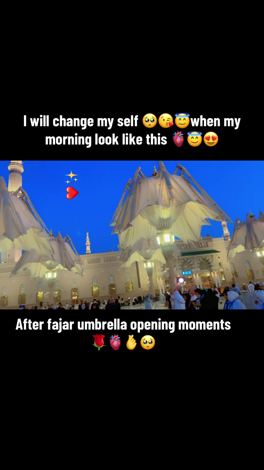 @MR_KING🫰🫶🏻🫀