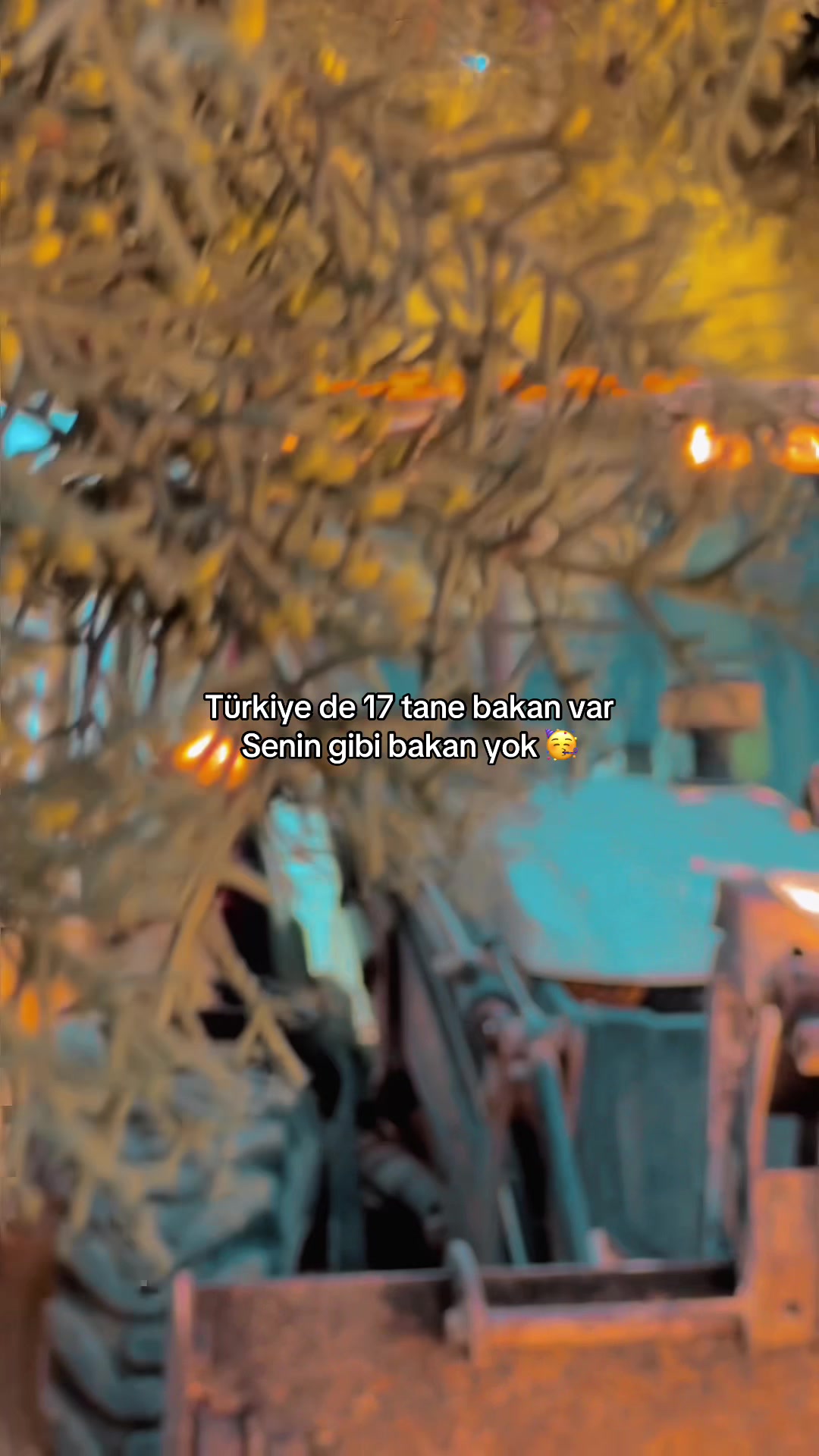 @İbrahim 🐅