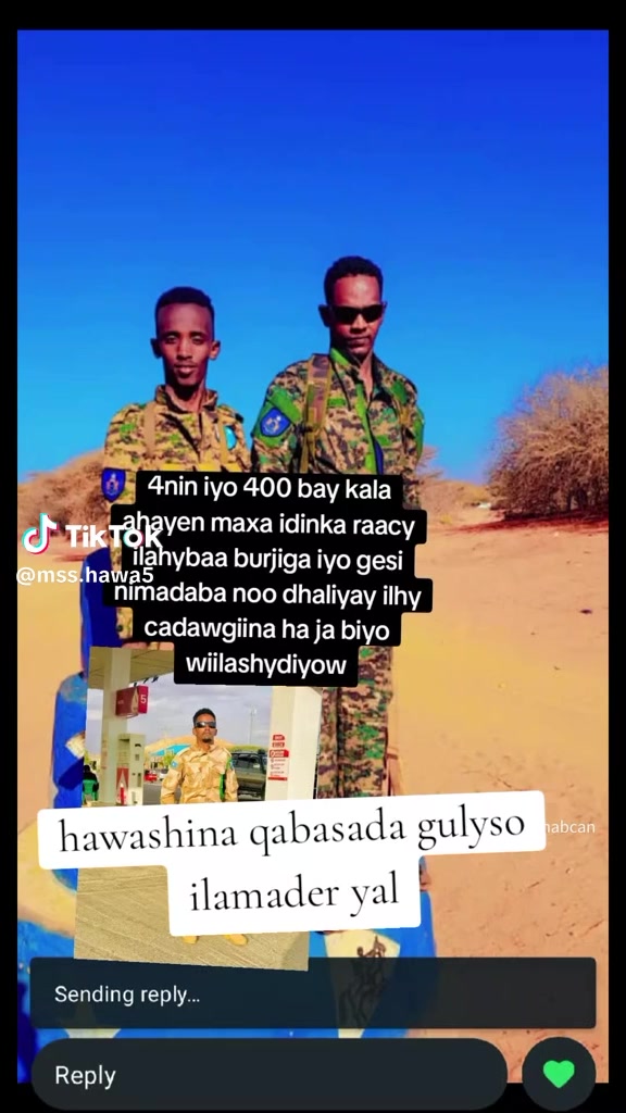 @galdagaalka