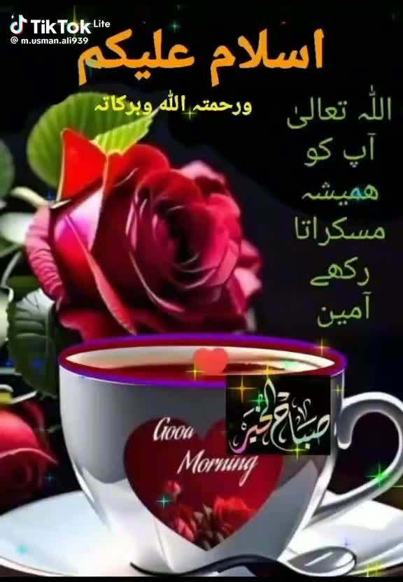 @abdulsattar